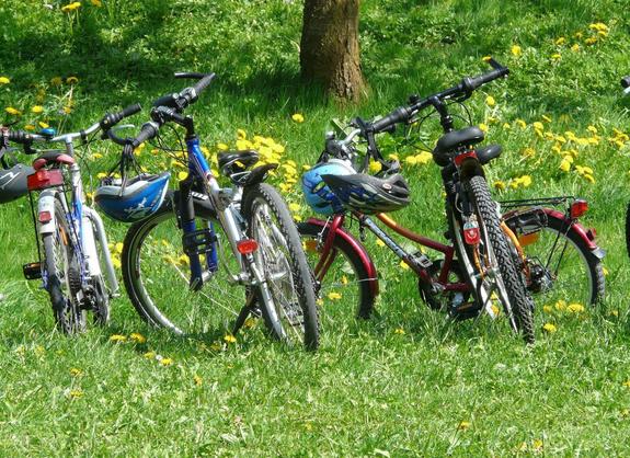 Fahrräder auf einer grünen Wiese