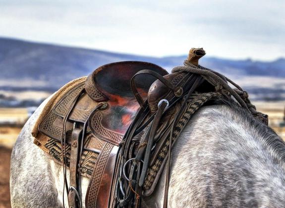 Pferdesattel mit Prairie im Hintergrund
